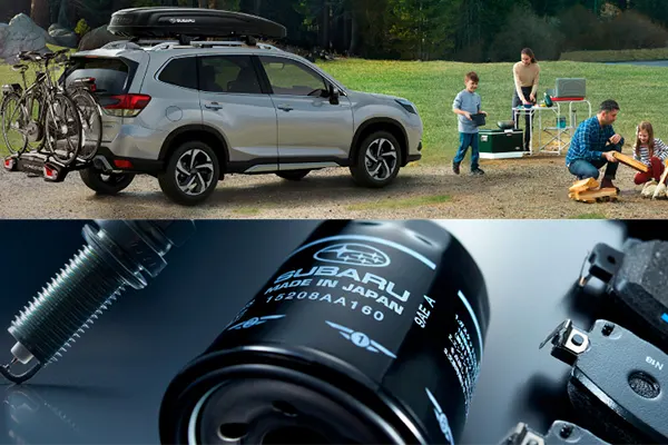 Repuestos originales y accesorios Thule para vehículos Subaru